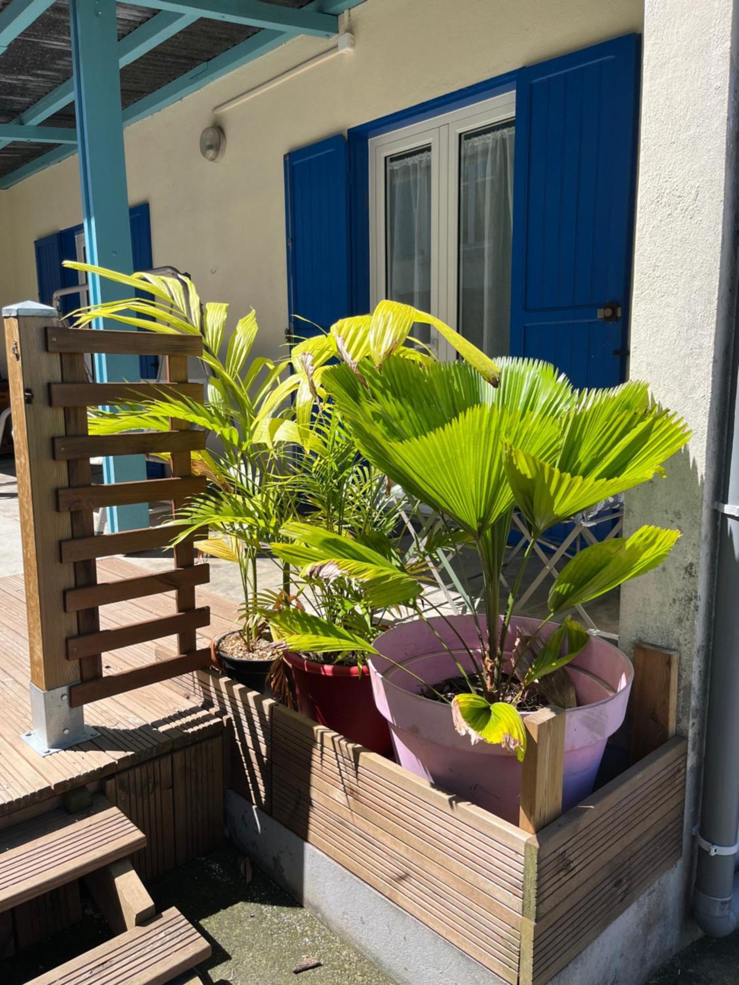 Douceur Du Sud Villa Le Tampon Exteriör bild